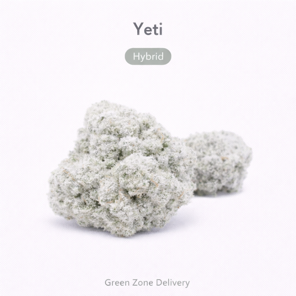 Yeti | Hybrid Flower