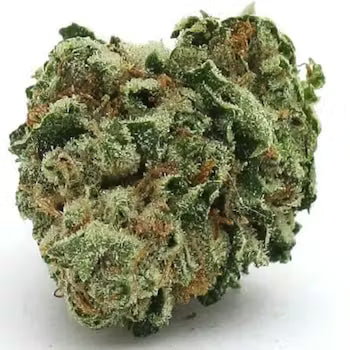 Gelato