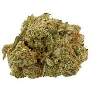Fruit Pie