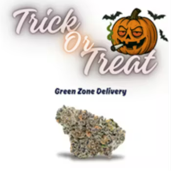 Trick or Treat | Hybrid Flower