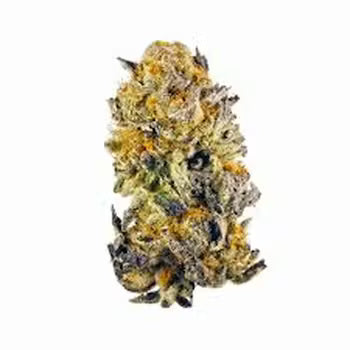 Grape Runtz