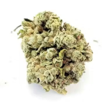 Carmel Cough