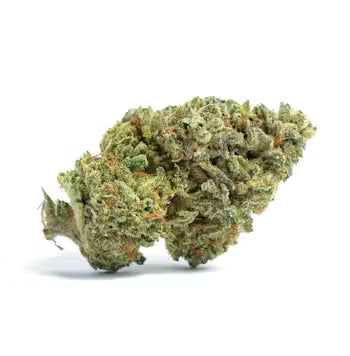 Sherbiscotti