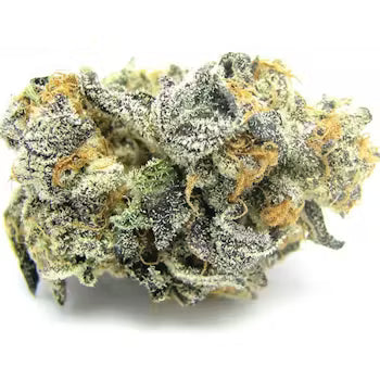 Blue Cookies