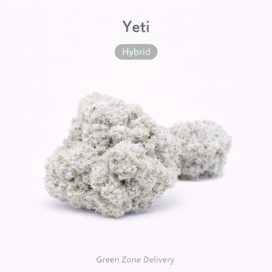 Yeti | Hybrid Flower