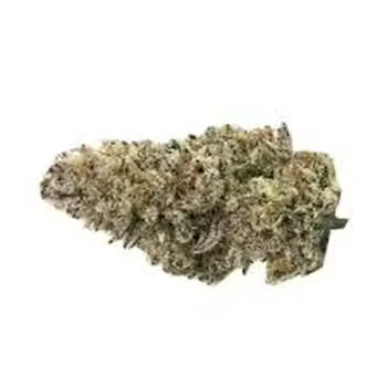 Bear Creek Kush