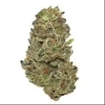 Grape Jam