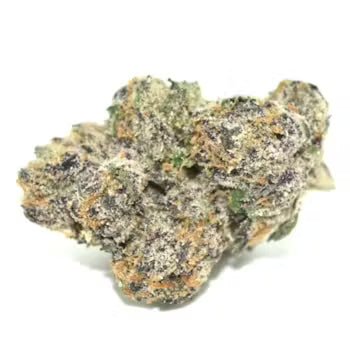 Sugar Cookie