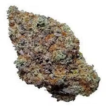 Watermelon Mimosa