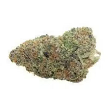 Fruit Punch