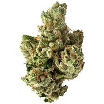 SFV OG