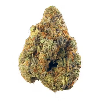 SoCal Gas