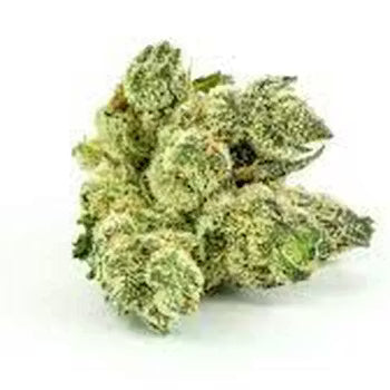 Legend OG