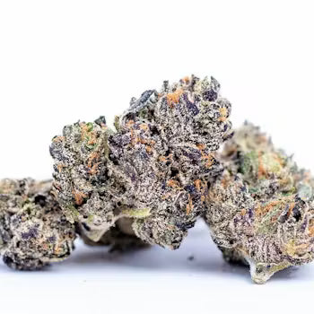 White Russian