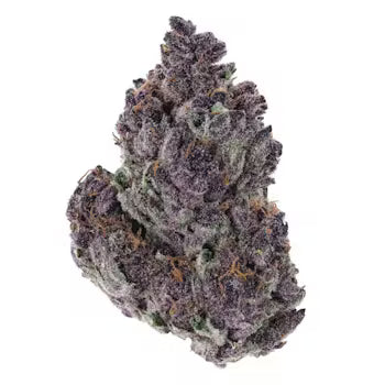Snoz berry